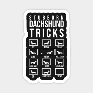 Stubborn dachshund tricks Magnet