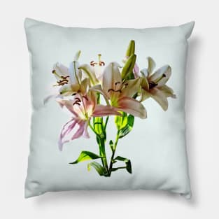 Backlit Pale Pink Lilies Pillow