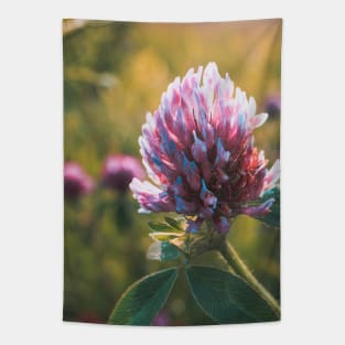 Petals in Sunlight Capture Red Clover's Elegance V2 Tapestry