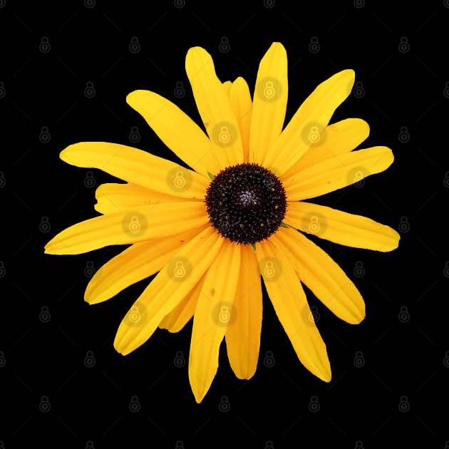 Yellow Flower Floral Photo Cutout by ellenhenryart