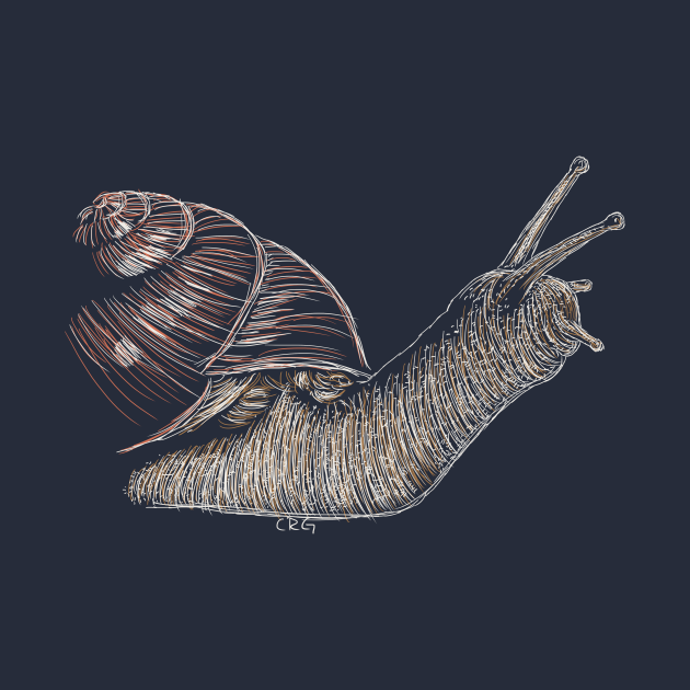 Discover Snail - T-Shirt