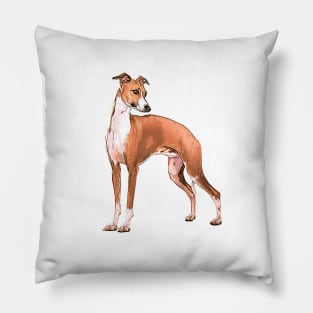 Italian Greyhound Beauty Pillow