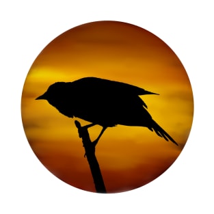 Redwing Blackbird Marsh Sunset T-Shirt