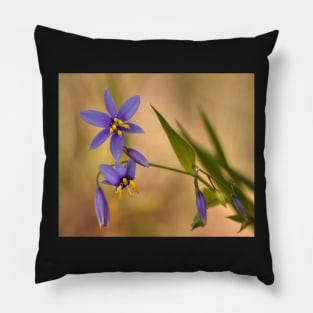 Dianella at Gibbergunya Pillow