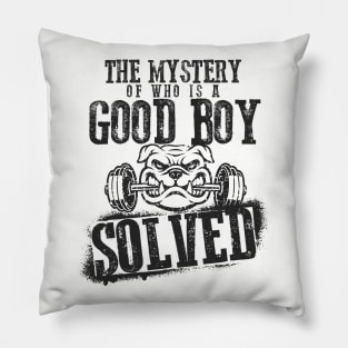 The Mystery of Who is a Good Boy Solved Pillow