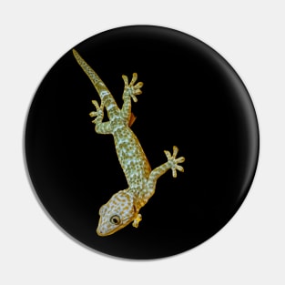 Tokay Gecko Pin