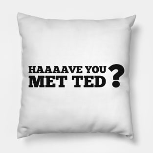 Have you met Ted? Pillow