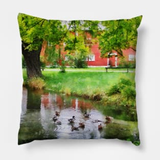 Farms - Ducks on Pond Pillow