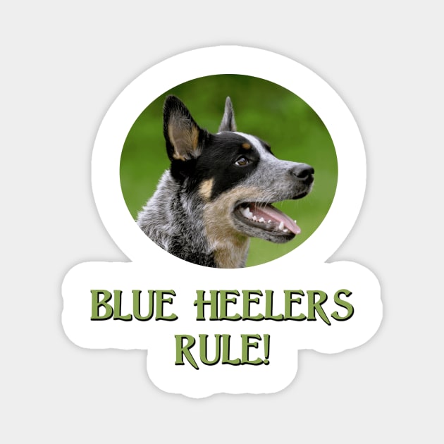 Blue Heelers Rule! Magnet by Naves