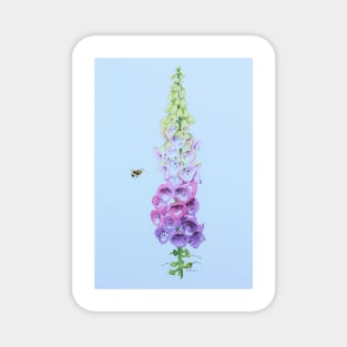 Foxglove and Bee (blue tint) Magnet