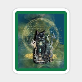 Mystical Magickal Kitty Magnet