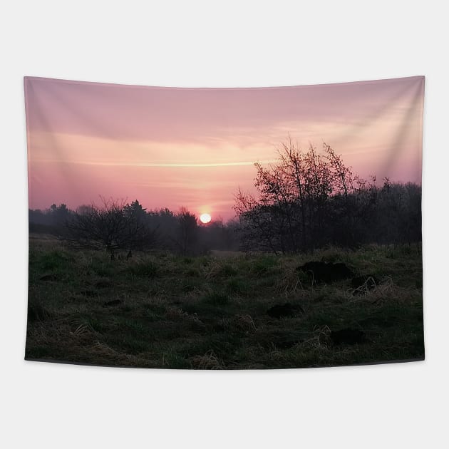 Pink Sunset In The Danish Countryside Tapestry by colorful444