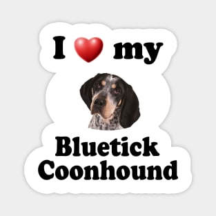 I Love My Bluetick Coonhound Magnet