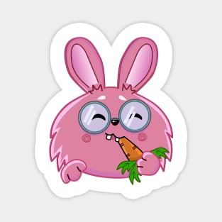 pink rabbit with glasses Magnet
