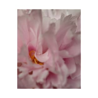 Macro Peony T-Shirt