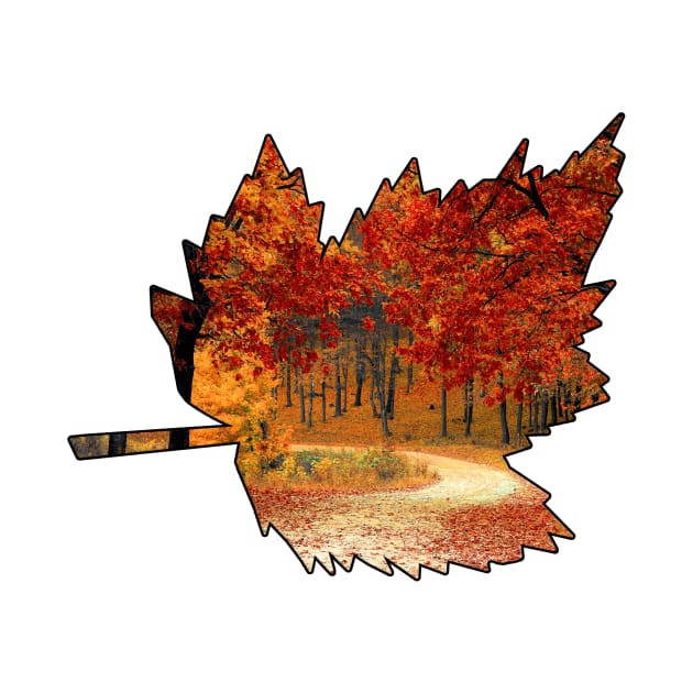 Maple Leaf Outline (Fall Colors) by gorff