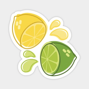 Lemon & Lime Magnet