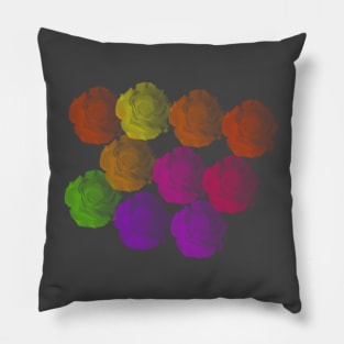 Rose Rainbow Pillow