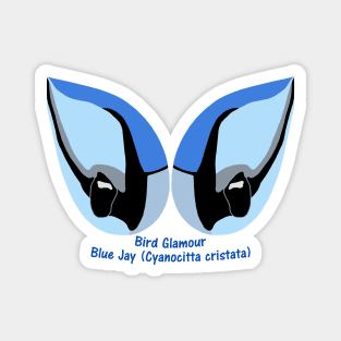 Blue Jay Eyes Magnet