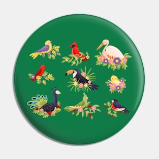 birds sitting on branches collection Pin