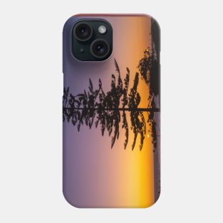 Namibia. Swakopmund. Tree. Sunset. Phone Case