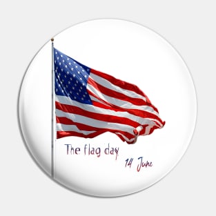 The American flag day Pin