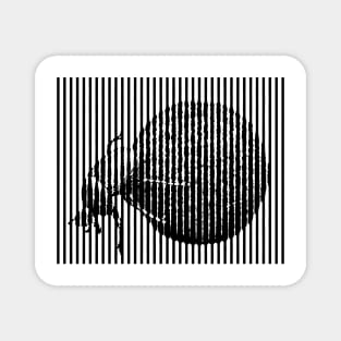 Dung Beetle with Dung Ball Anamorphic Pop Art Magnet