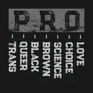 Pro-queer Pro-Black Pro-choice Pro-Love Resist Hate T-Shirt