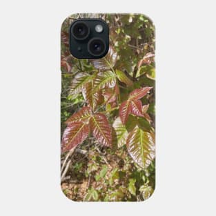 Leaves of Three Leave Them Be Phone Case