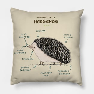 Anatomy of a Hedgehog Pillow