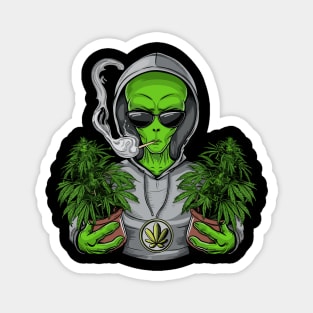 Alien Abduction Of Marijuana And Cannabis Plant Design Magnet