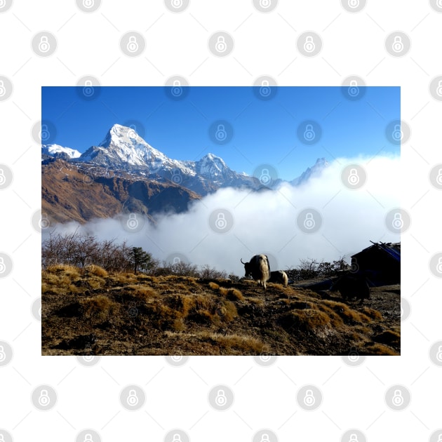 Panoramic View Of Everest Mountain by whimsyart