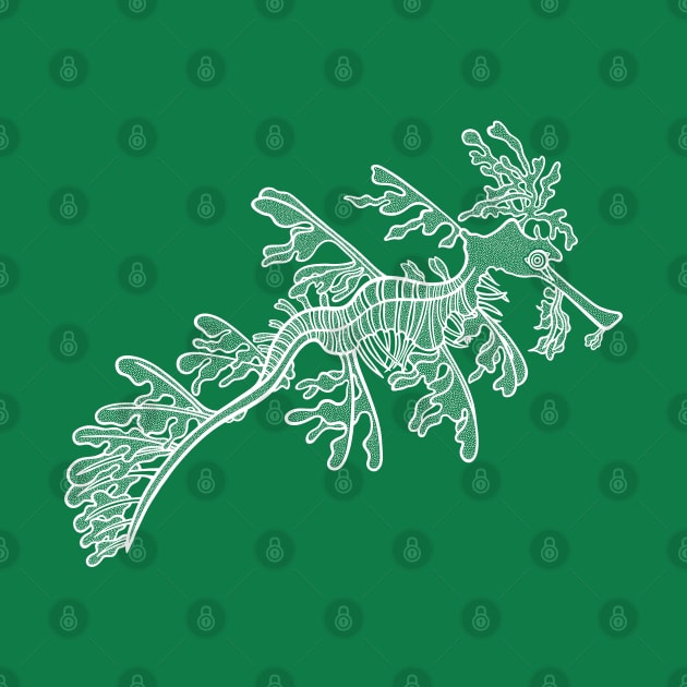 Hand drawn Leafy Seadragon - marine animal design by Green Paladin