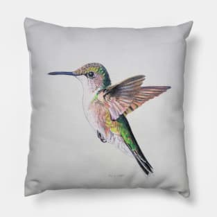 Female Ruby Throated Hummingbird drawing Pillow