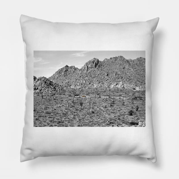 Joshua Tree Landscape with Saab Pillow by Lines