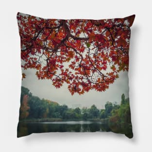 maple tree above lake Pillow