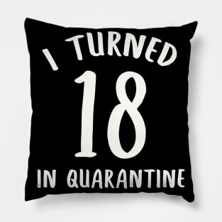 I Turned 18 In Quarantine Pillow