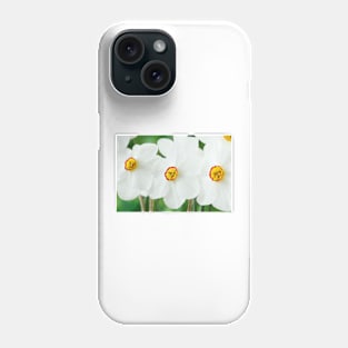 Narcissus  &#39;Actaea&#39;  AGM  Division 9 Poeticus  Daffodil Phone Case