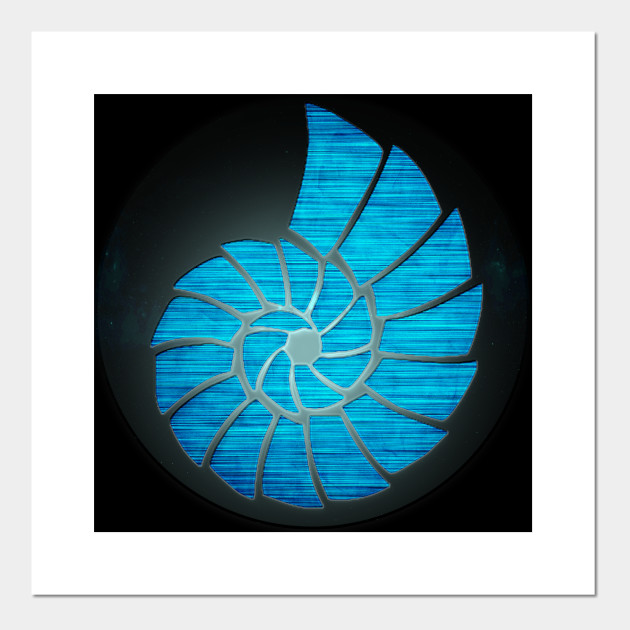 Nautilus Shell Nautilus Shell Posters And Art Prints Teepublic