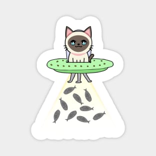 Funny siamese Cat is flying a spaceship Magnet