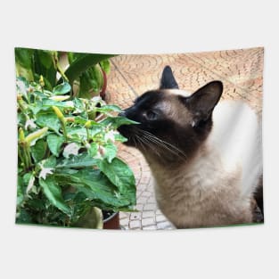 Vegan Siamese cat Tapestry