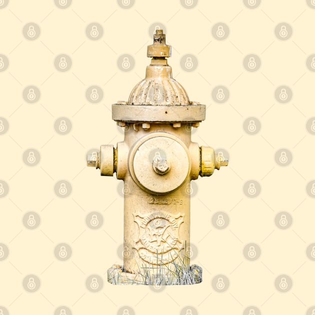 Yellow Fire Hydrant by Enzwell