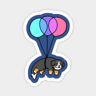 Balloon Bernese Mountain Dog Magnet