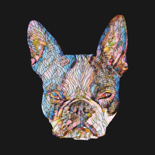 Boston Terrier Face by DoggyStyles
