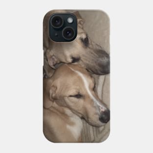 Dogs Sleeping Phone Case