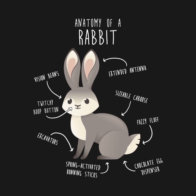 Rabbit Anatomy by Psitta