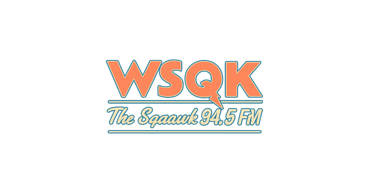 WSQK The Squawk Hawkins Radio Station - Stranger Things - Stranger ...