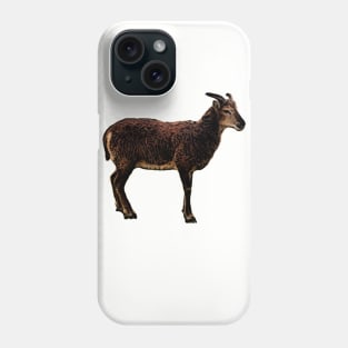 Soay Ewe Phone Case