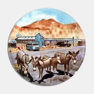 Oatman, Arizona Pin