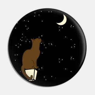 Cat Looking At Moon Pin